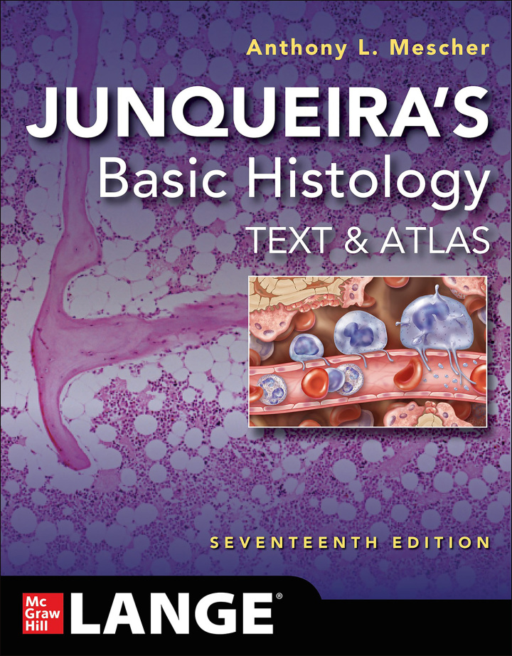 Junqueira's Basic Histology: Text and Atlas 17th Edition