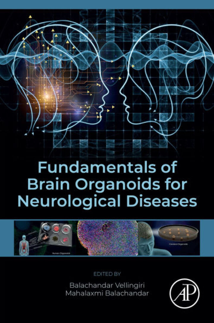 Fundamentals of Brain Organoids for Neurological Diseases