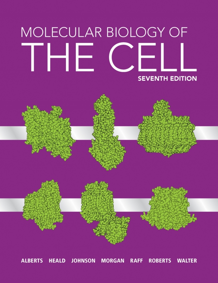 Molecular Biology of the Cell 7th Edition