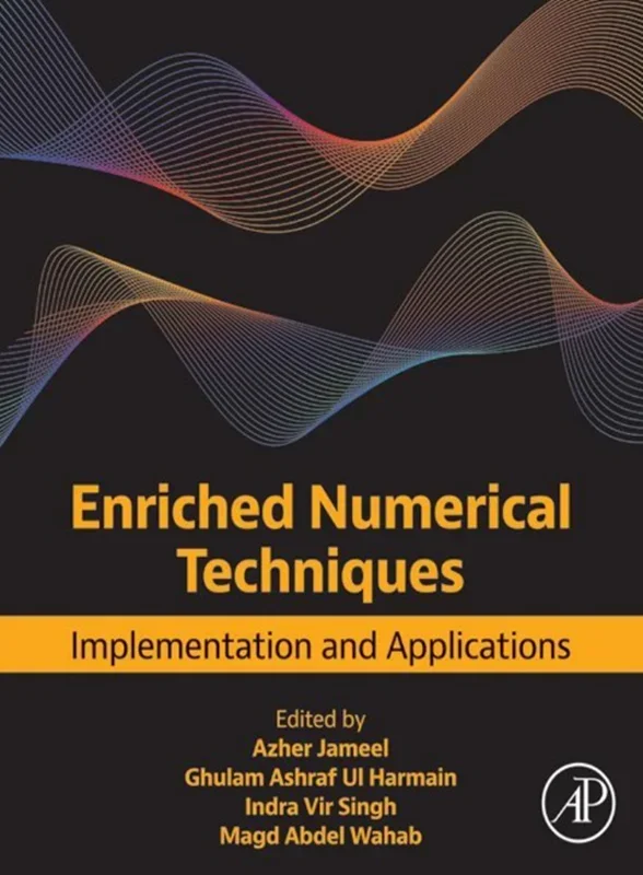 Enriched Numerical Techniques: Implementation and Applications